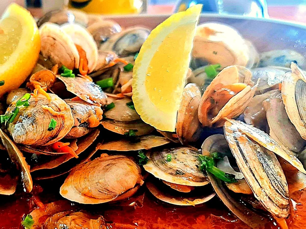 COQUINAS FROM CADIZ A LA MARINERA